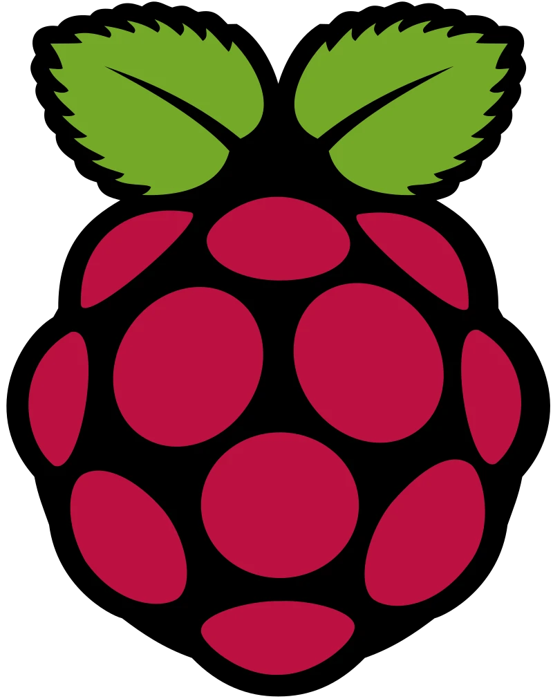 Raspberry Pi Icon